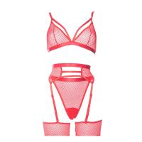 Kırmızı Fantezi File Jartiyer Takım - 1036